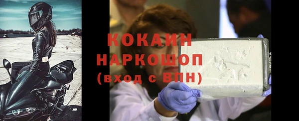 трава Белокуриха