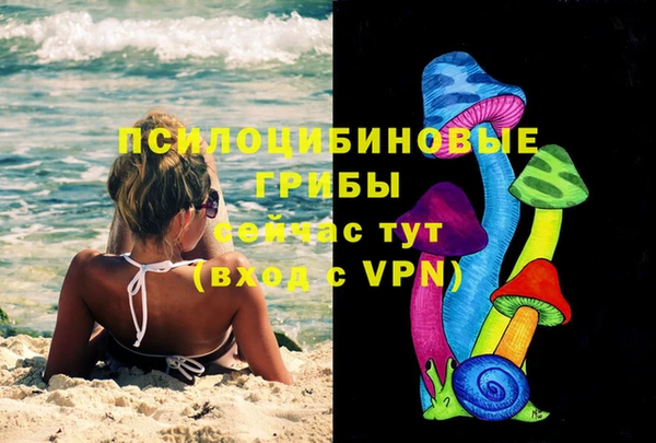 трава Белокуриха