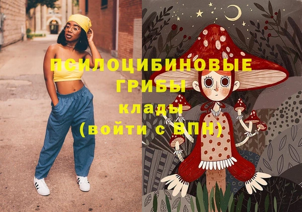 трава Белокуриха