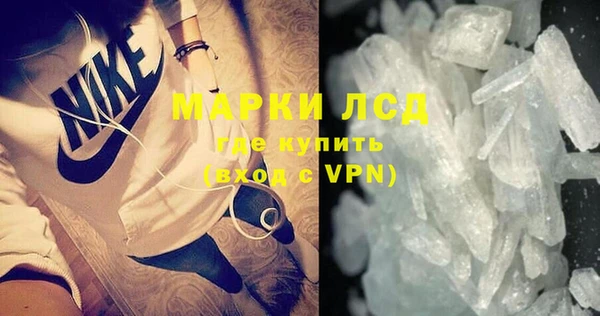 трава Белокуриха