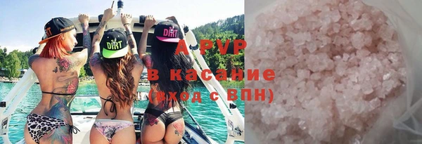 трава Белокуриха