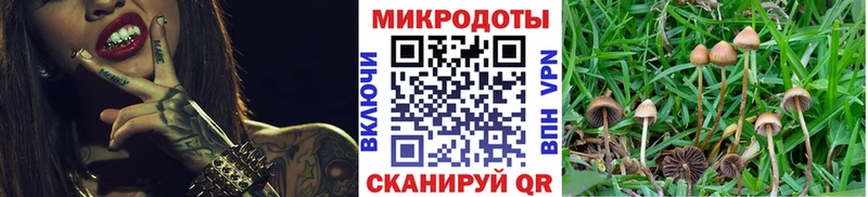 Псилоцибиновые грибы прущие грибы  Красавино 